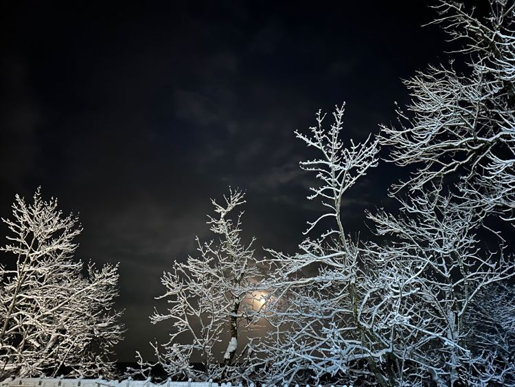 images/stories/vollmondlauf/VML_2025/VML_Februar2025_Bericht.jpeg#joomlaImage://local-images/stories/vollmondlauf/VML_2025/VML_Februar2025_Bericht.jpeg?width=2016&height=1512