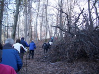 Dreikönigslauf 3 200Bild