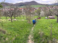 Mössingen walkt Teil 4 200Bild