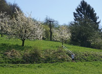 Kayh 1 200Bild