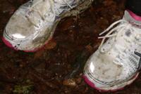 Nordic-Cross-Walking_1_700Bild