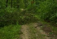 Nordic-Cross-Walking_2_700Bild