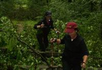 Nordic-Cross-Walking_3_700Bild