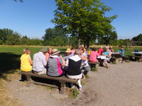 Sommerfrühstück 5 200Bild