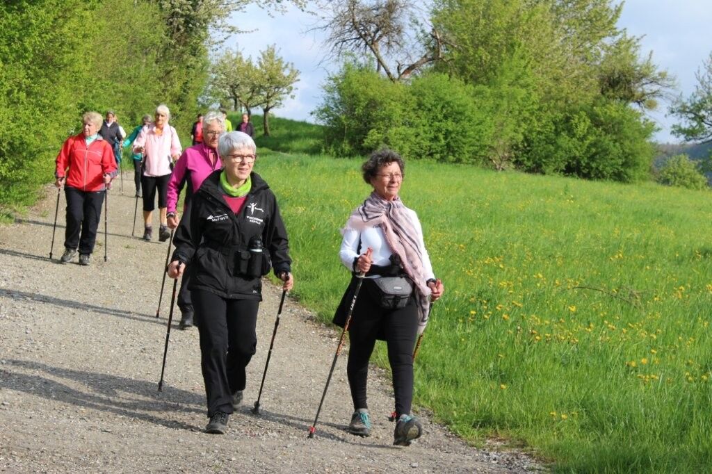 2025 Gönninger Tulpenblüte Foto 2