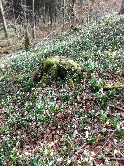 25.03.20 8
