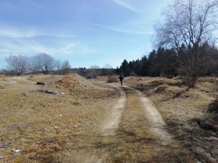 25.03.20 9