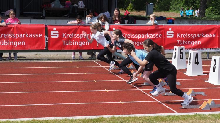 images/stories/Leichtathletik/2026/P5080170.JPG#joomlaImage://local-images/stories/Leichtathletik/2026/P5080170.JPG?width=4608&height=2592