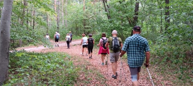 images/stories/Walkingtreff/2026/2026-NW-SoFe-danach-III-Foto-2.jpg#joomlaImage://local-images/stories/Walkingtreff/2026/2026-NW-SoFe-danach-III-Foto-2.jpg?width=1024&height=460