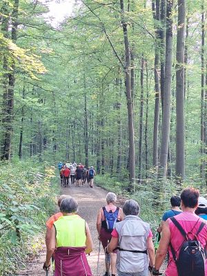 Das Nordic Walking im Sommerferienprogramm mit den Gomaringer Walkingfreunden ist immer eines der Highlights.