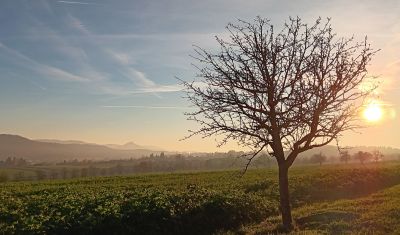 Ein herrliches Panorama bot sich der Walkinggruppe an diesem schönen Herbsttag.